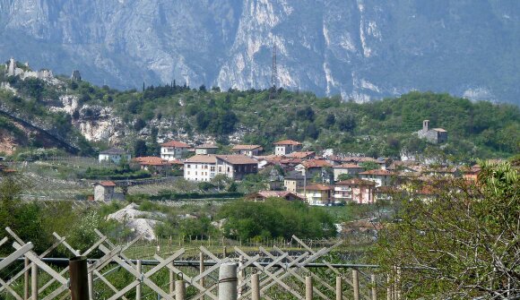 Nago 2011