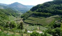 Pin� und Val di Cembra 2011