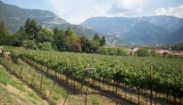 Vallagarina 2011