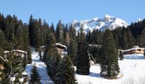 Val Rendena Winter 2011