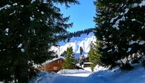 Schliersee Winter 2011